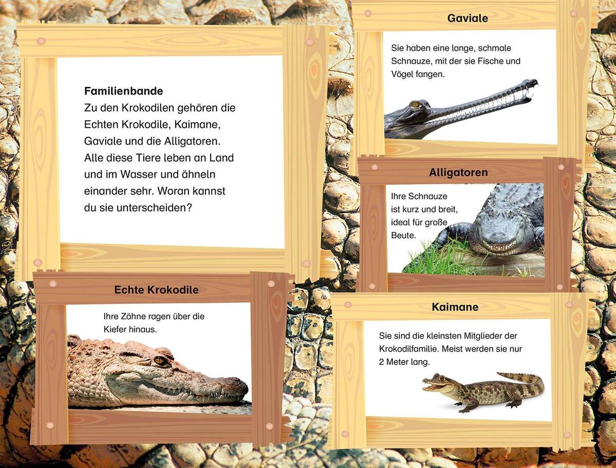 DK Verlag Superleser 2. Lesestufe - Krokodil Abenteuer am Fluss