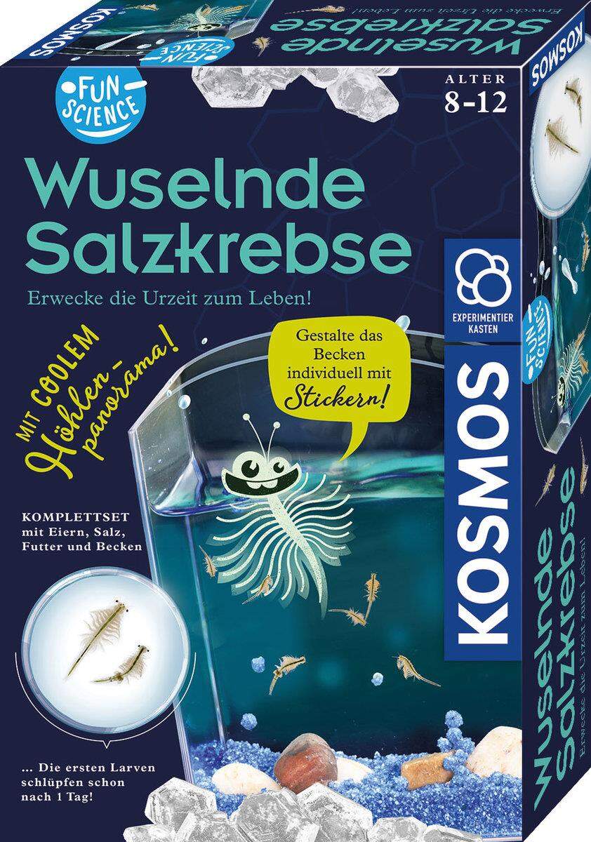 KOSMOS Fun Science Wuselnde Salzkrebse