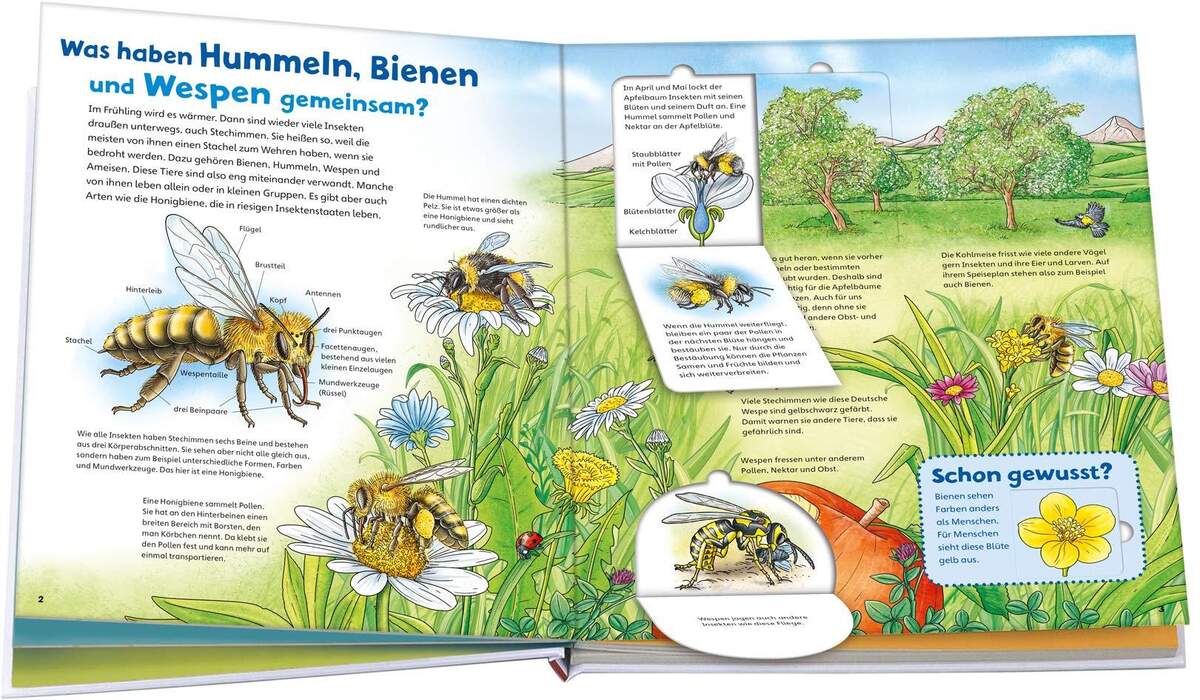 Tessloff WAS IST WAS Junior Band 34 - Bienen, Wespen, Hummeln