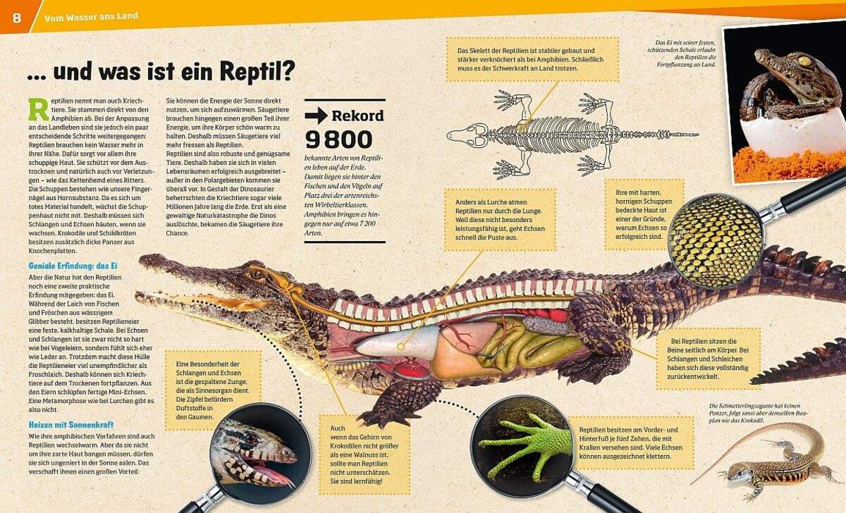 WAS IST WAS Reptilien und Amphibien, Band 20